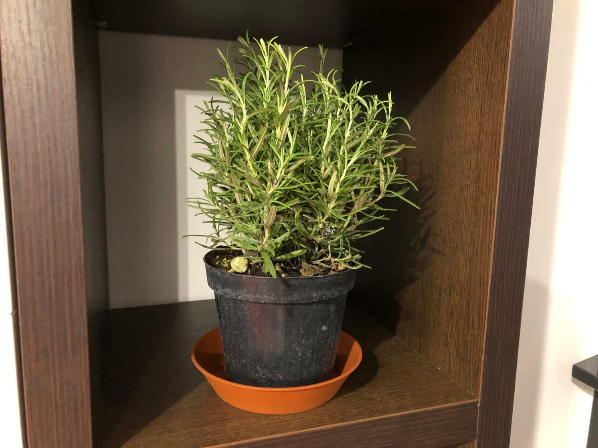 L'Ancora Luxury Apartment Cenova Dış mekan fotoğraf